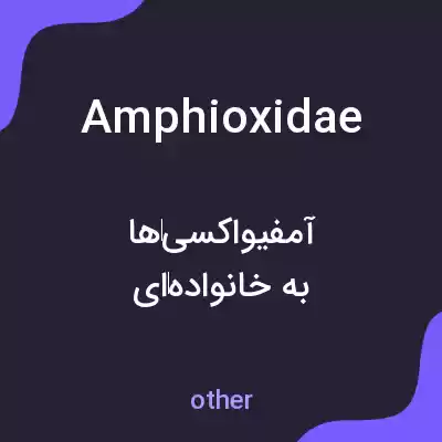 معنی amphioxidae به فارسی معنی amphioxidae به فارسی