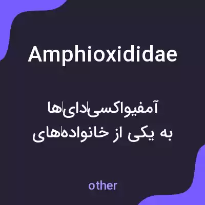 معنی amphioxididae به فارسی معنی amphioxididae به فارسی