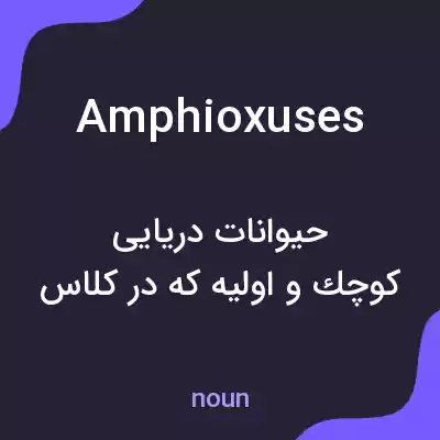 معنی amphioxuses به فارسی معنی amphioxuses به فارسی