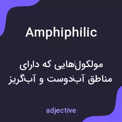 معنی amphiphilic به فارسی