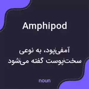 معنی amphipod به فارسی معنی amphipod به فارسی