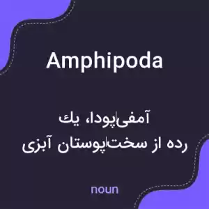 معنی amphipoda به فارسی معنی amphipoda به فارسی