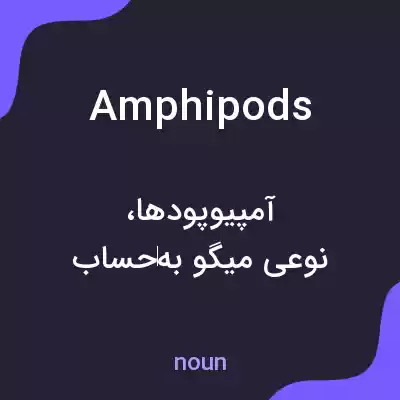 معنی amphipods به فارسی