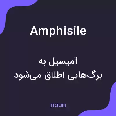 معنی amphisile به فارسی معنی amphisile به فارسی