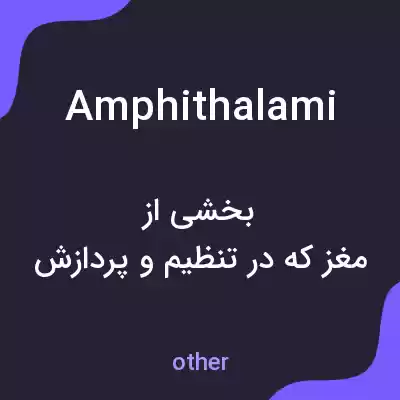 معنی amphithalami به فارسی معنی amphithalami به فارسی