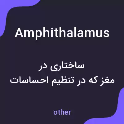 معنی amphithalamus به فارسی معنی amphithalamus به فارسی