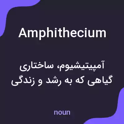 معنی amphithecium به فارسی معنی amphithecium به فارسی