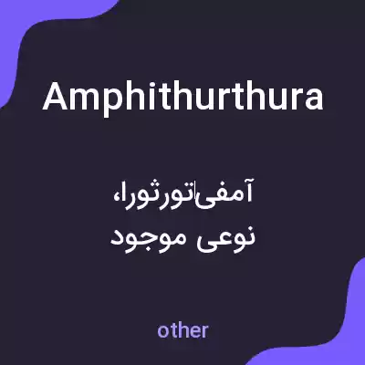 معنی amphithurthura به فارسی معنی amphithurthura به فارسی