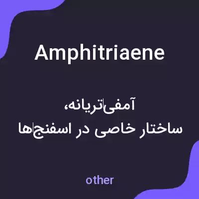 معنی amphitriaene به فارسی معنی amphitriaene به فارسی