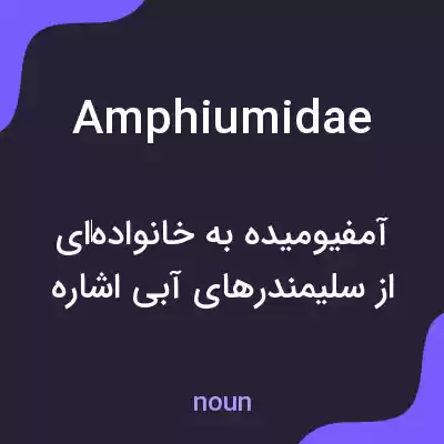 معنی amphiumidae به فارسی