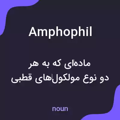 معنی amphophil به فارسی معنی amphophil به فارسی