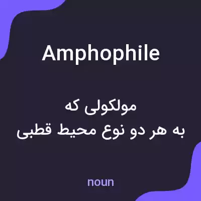 معنی amphophile به فارسی معنی amphophile به فارسی