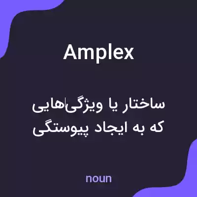 معنی amplex به فارسی معنی amplex به فارسی