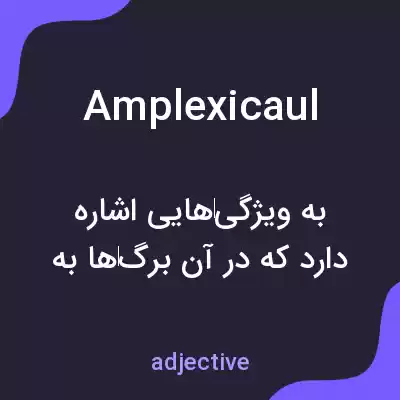 معنی amplexicaul به فارسی معنی amplexicaul به فارسی
