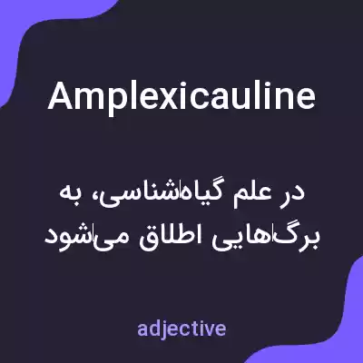 معنی amplexicauline به فارسی معنی amplexicauline به فارسی