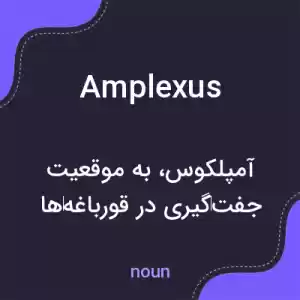 معنی amplexus به فارسی معنی amplexus به فارسی
