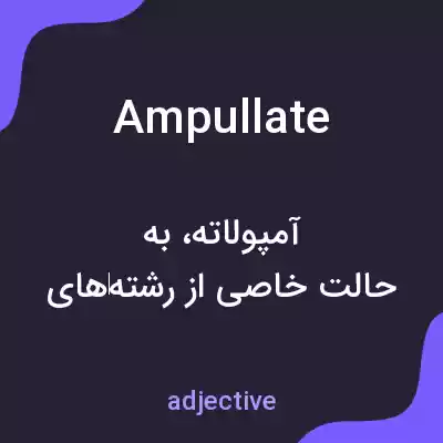 معنی ampullate به فارسی معنی ampullate به فارسی