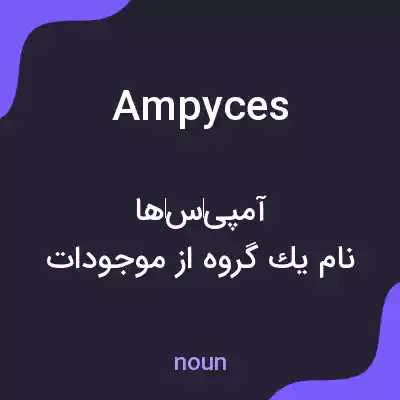 معنی ampyces به فارسی معنی ampyces به فارسی