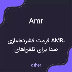 معنی amr به فارسی معنی amr به فارسی