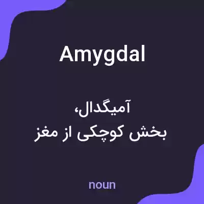 معنی amygdal به فارسی معنی amygdal به فارسی
