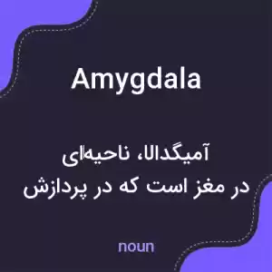 معنی amygdala به فارسی معنی amygdala به فارسی