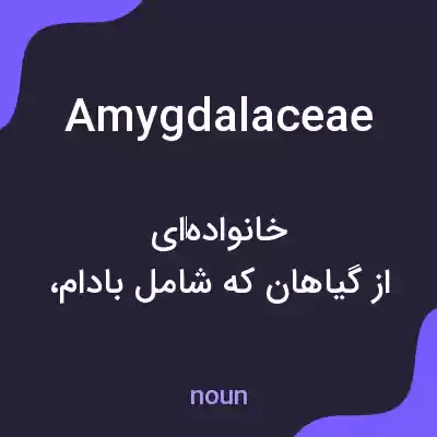 معنی amygdalaceae به فارسی معنی amygdalaceae به فارسی
