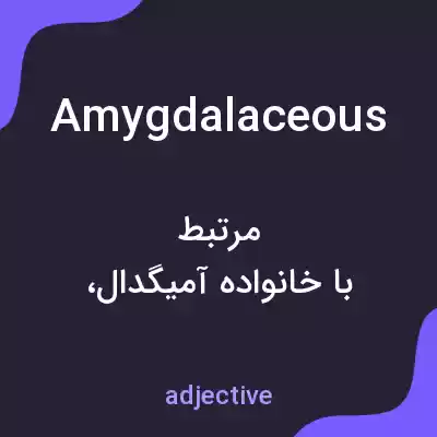 معنی amygdalaceous به فارسی معنی amygdalaceous به فارسی