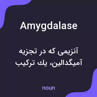 معنی amygdalase به فارسی