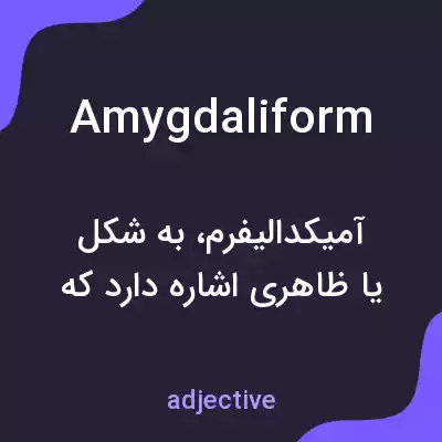 معنی amygdaliform به فارسی