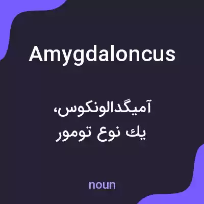 معنی amygdaloncus به فارسی