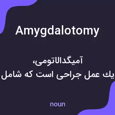 معنی amygdalotomy به فارسی معنی amygdalotomy به فارسی