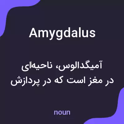 معنی amygdalus به فارسی معنی amygdalus به فارسی
