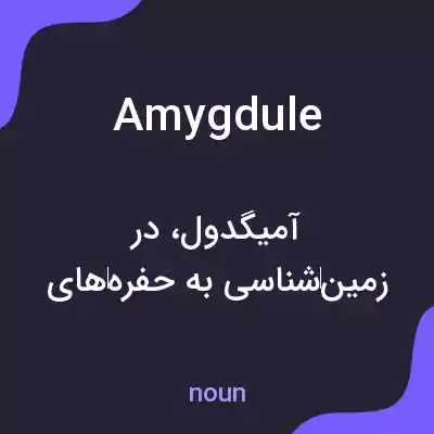 معنی amygdule به فارسی معنی amygdule به فارسی