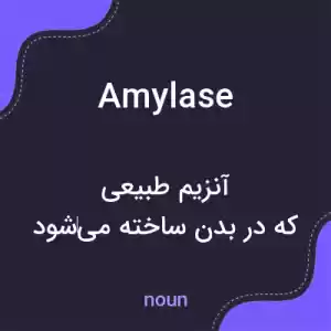 معنی amylase به فارسی معنی amylase به فارسی