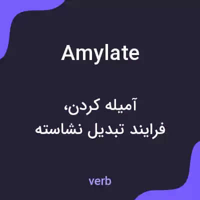 معنی amylate به فارسی معنی amylate به فارسی