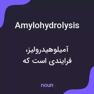 معنی amylohydrolysis به فارسی معنی amylohydrolysis به فارسی
