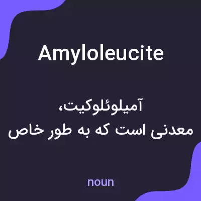 معنی amyloleucite به فارسی معنی amyloleucite به فارسی