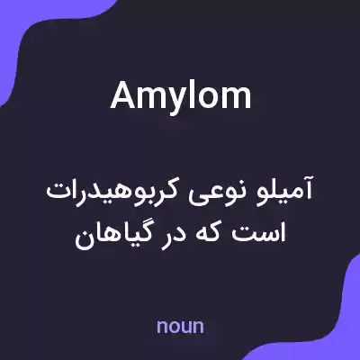 معنی amylom به فارسی معنی amylom به فارسی