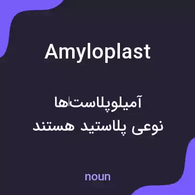 معنی amyloplast به فارسی معنی amyloplast به فارسی