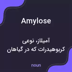 معنی amylose به فارسی معنی amylose به فارسی