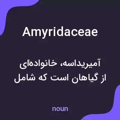 معنی amyridaceae به فارسی معنی amyridaceae به فارسی