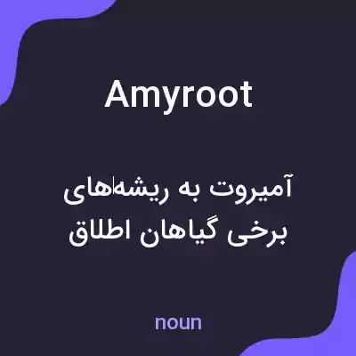معنی amyroot به فارسی معنی amyroot به فارسی