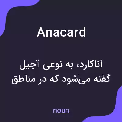 معنی anacard به فارسی
