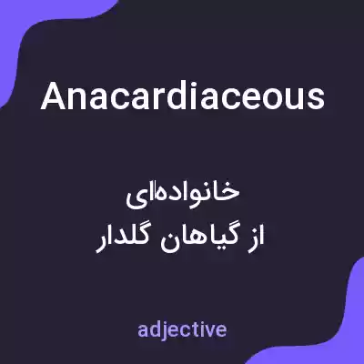 معنی anacardiaceous به فارسی