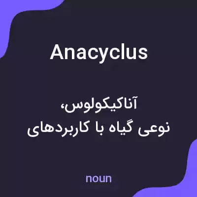 معنی anacyclus به فارسی معنی anacyclus به فارسی