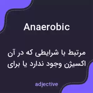 معنی anaerobic به فارسی معنی anaerobic به فارسی