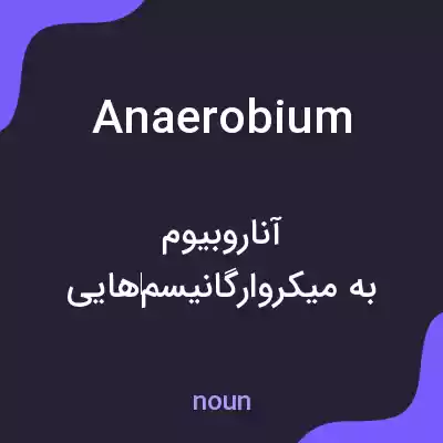 معنی anaerobium به فارسی معنی anaerobium به فارسی