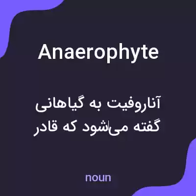 معنی anaerophyte به فارسی معنی anaerophyte به فارسی