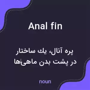معنی anal fin به فارسی معنی anal fin به فارسی