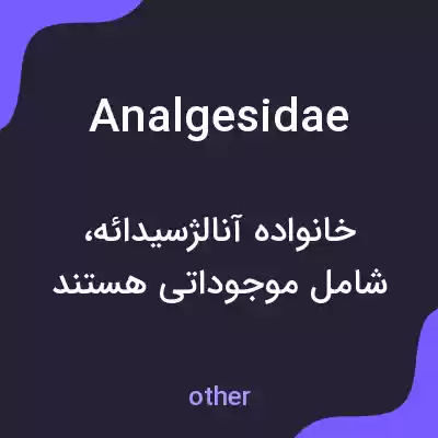 معنی analgesidae به فارسی معنی analgesidae به فارسی